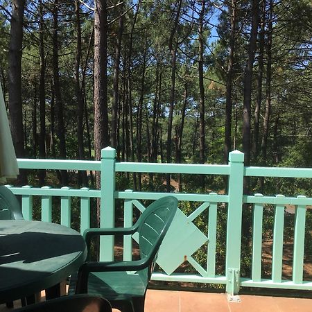 Apt T2 Calme Sur Golf, Piscine, Ocean 10 Min En Velo Лакано Экстерьер фото